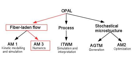 Structure of the OPAL project