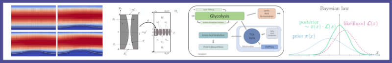 Banner der AG Mathematics for Life Sciences